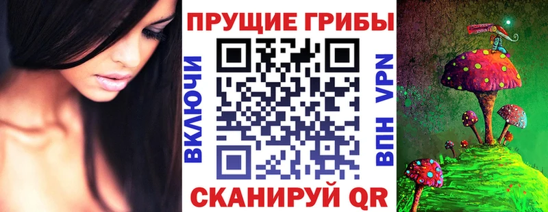 купить   Приморско-Ахтарск  hydra как войти  Псилоцибиновые грибы GOLDEN TEACHER 